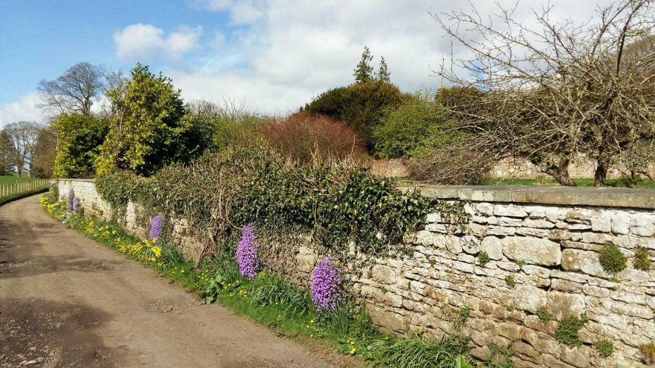 هيكسهام Owl Cottage المظهر الخارجي الصورة